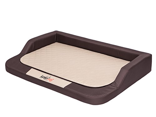 Hobbydog XXL Mesbrb3 Hobbydog XXL 120 X 80 (R3) Hundebett Medico Standard (Oxford) Braun - Beige Mit Ortopädische Viscomatte, XXL, Braun - Beige Hobbydog XXL Mesbrb3 Hobbydog XXL 120 X 80 (R3) Hundebett Medico Standard (Oxford) Braun - Beige Mit Ortopädische Viscomatte, XXL, Braun - Beige von DOGGY