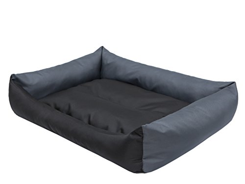 Hobbydog XXL LECCZG2 Hundebett Eco Größe XXL - 105 X 75 cm Schwarz - Grau Bett Matratze Eco, XXL, Multicolored, 2.75 kg Hobbydog XXL LECCZG2 Hundebett Eco Größe XXL - 105 X 75 cm Schwarz - Grau Bett Matratze Eco, XXL, Multicolored, 2.75 kg von DOGGY