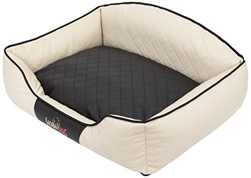 DOGGY Hobbydog XXLELIBCP2 Hundebett/Sofa/Korb Elite mit Kissen Kunstleder, beige/schwarz, XXL, 110 x 85 x 30 cm DOGGY Hobbydog XXLELIBCP2 Hundebett/Sofa/Korb Elite mit Kissen Kunstleder, beige/schwarz, XXL, 110 x 85 x 30 cm von DOGGY