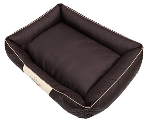 DOGGY Hobbydog R1CEPBRA3 Hundebett/Sofa/Korb Cesar Perfect Kunstleder, Kodura, braun, Größe R1, 65 x 52 x 20 cm DOGGY Hobbydog R1CEPBRA3 Hundebett/Sofa/Korb Cesar Perfect Kunstleder, Kodura, braun, Größe R1, 65 x 52 x 20 cm von DOGGY