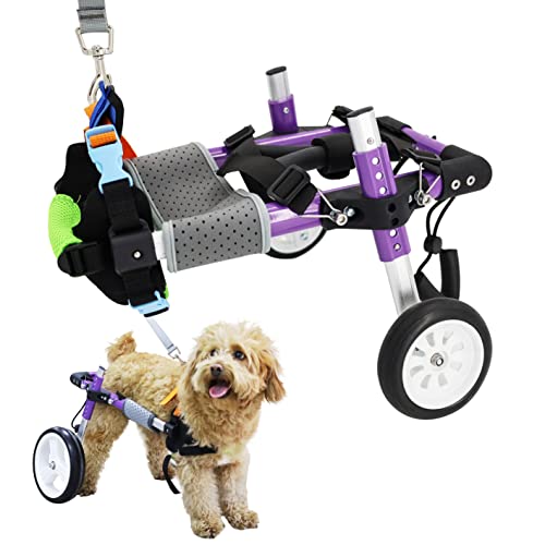 HobeyHove Verstellbarer Hunderollstuhl für die Hinterbeine, Haustier-/Hunde-Rollstühle mit behinderten Hinterbeinen, XS-B von HobeyHove