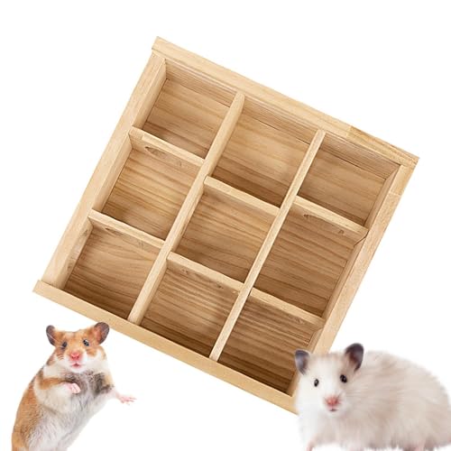 Hobngmuc Hamster Labyrinth Spielzeug, Hamster Labyrinth Aus Mit Transparentem Acryldeckel, Hamster Labyrinth Spielzeug Für Kleintiere, Pet Activity Spielzeug Für Mäuse Zwerghamster Hobngmuc Hamster Labyrinth Spielzeug, Hamster Labyrinth Aus Mit Transparentem Acryldeckel, Hamster Labyrinth Spielzeug Für Kleintiere, Pet Activity Spielzeug Für Mäuse Zwerghamster von Hobngmuc