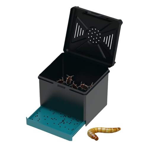 Hobngmuc Kleines Reptiliengehege, Gehege für Betermantise, belüftet, lichtbeständig, für Grillen, Mantisen, Skorpione, Kakerlaken, Käfer, Ameisen, drinnen und draußen von Hobngmuc