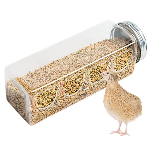 Hobngmuc Küken Futterautomat Kunststoff, 4 Bärenförmige Fütterungsöffnungen, Flaschenförmige Vogelfutterautomaten, Tragbares Vogelzubehör Für Wachteln, Küken, Tauben, Spatzen, Turteltauben Hobngmuc Küken Futterautomat Kunststoff, 4 Bärenförmige Fütterungsöffnungen, Flaschenförmige Vogelfutterautomaten, Tragbares Vogelzubehör Für Wachteln, Küken, Tauben, Spatzen, Turteltauben von Hobngmuc