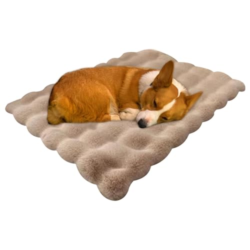 Hobngmuc Schlafende Katzenunterlagen, Katzenmattenbett - Katzenkissen Hundeschlafmatte - Hundehüttenunterlage, Katzenwärmematte, Hundebettmatte, rutschfest, waschbar, Katzenbett für drinnen, Katzen, Hobngmuc Schlafende Katzenunterlagen, Katzenmattenbett - Katzenkissen Hundeschlafmatte - Hundehüttenunterlage, Katzenwärmematte, Hundebettmatte, rutschfest, waschbar, Katzenbett für drinnen, Katzen, von Hobngmuc