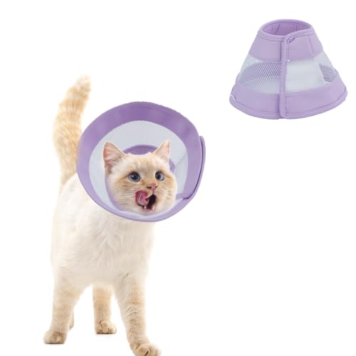 Hodeffior Katzen-Kegelhalsband, um das Lecken zu stoppen, kratzende Wunden, verstellbares E-Halsband nach Operationen für Katzen Kätzchen (M) Lila M von Hodeffior
