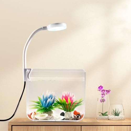 Kleines Aquarium mit Klemmlicht – Aquarium-Starter-Set, quadratisches Aquarium für Wohnzimmer, Büro, Dekoration Kleines Aquarium mit Klemmlicht – Aquarium-Starter-Set, quadratisches Aquarium für Wohnzimmer, Büro, Dekoration von Hodeffior