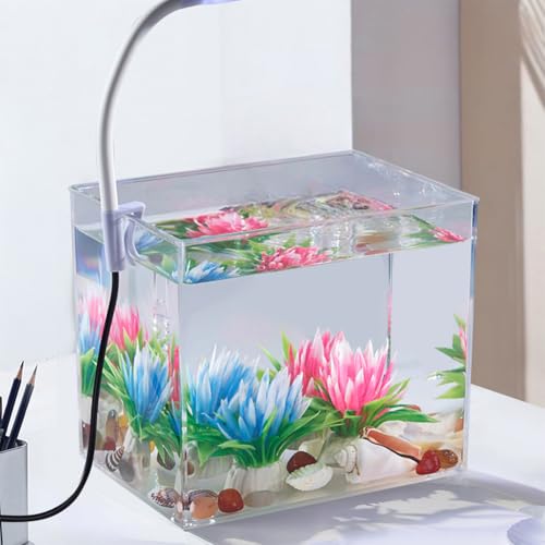 Kleines Aquarium mit Klemmlicht – Aquarium-Starter-Set, quadratisches Aquarium für Wohnzimmer, Büro, Dekoration Kleines Aquarium mit Klemmlicht – Aquarium-Starter-Set, quadratisches Aquarium für Wohnzimmer, Büro, Dekoration von Hodeffior