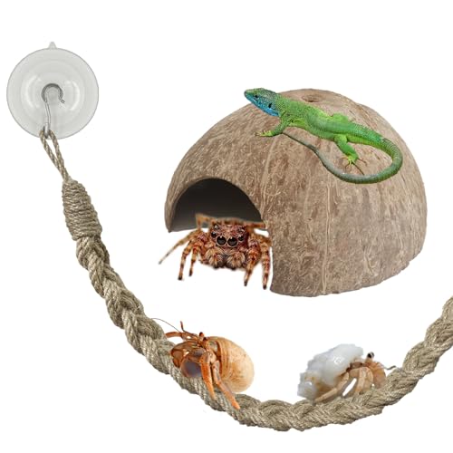 Einsiedlerkrebs-Zubehör, 65,8 x 4 cm, Reptilien-Kletterseil, natürliche Kokosnuss-Reptilien-Verstecke, Emit-Krabbe, Hamster, Chamäleon, Baumfrosch, Eidechse, Gecko-Lebensraum, Aquarium-Dekoration, 2 von Hodpyihc