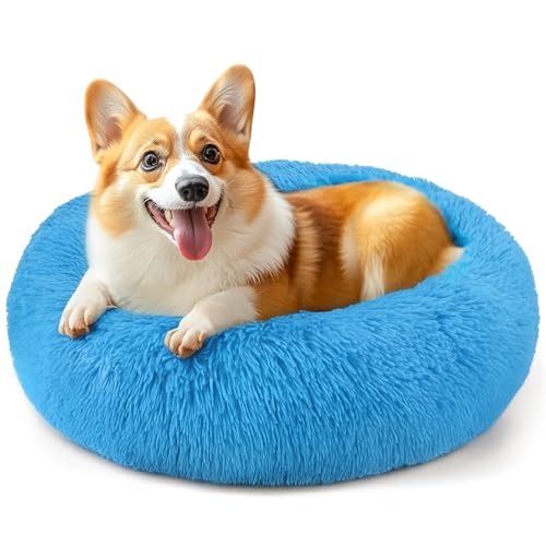 71,1 cm großes Hundebett, mittelgroße Hunde und Katzen, beruhigendes Donut-Bett für Welpen und Kätzchen, waschbar, rund, flauschiges Haustierbett (Hellblau) von Hoewina