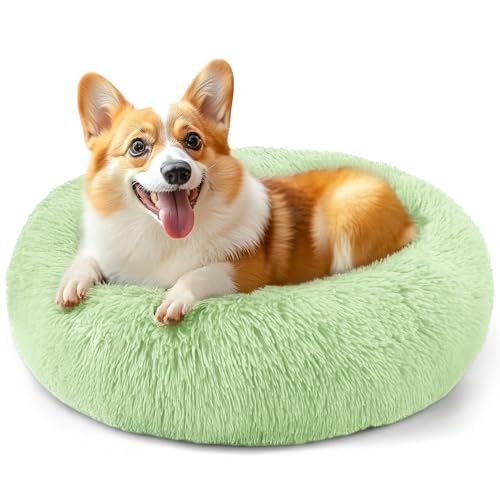 71,1 cm großes Hundebett, mittelgroße Hunde und Katzen, beruhigendes Donut-Bett für Welpen und Kätzchen, waschbares, rundes flauschiges Haustierbett (grün) von Hoewina