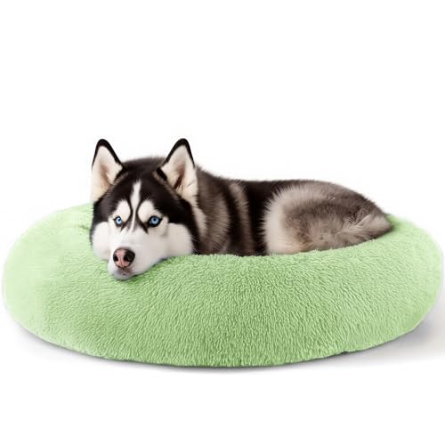 Extra großes Hundebett, 91,4 cm, für menschliche Hunde, Angstlinderung, Squishmallow-Komfortbett, unzerstörbar und kausicher, Haustierbetten (grün) von Hoewina