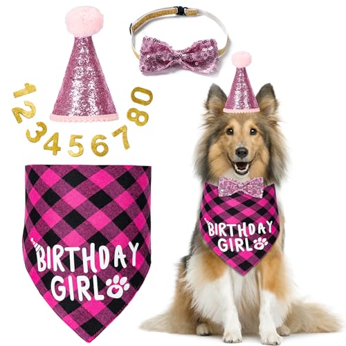 Geburtstagsparty-Zubehör, Hunde-Geburtstagsdekoration mit Geburtstagsmädchen, Hundehalstuch/Hunde-Katzen-Geburtstagshut/Hunde-Fliege/Halsband mit 0–8 Zahlen, für mittelgroße und kleine Hunde (XL, von Hoewina