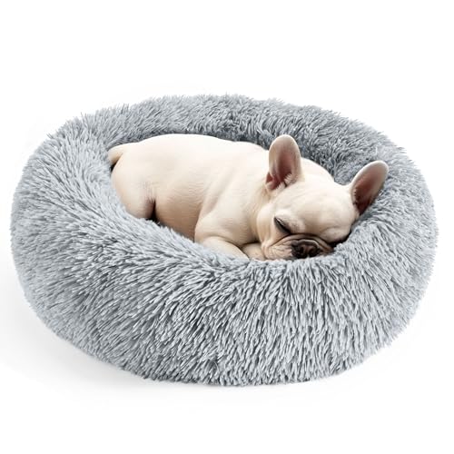 Hoewina Hunde- und Katzenbett, 50,8 cm, Katzenbetten für Hauskatzen, beruhigendes Donut-Bett für Welpen und Kätzchen, waschbares, rundes Flauschiges Haustierbett für kleine, mittelgroße Hunde und Hoewina Hunde- und Katzenbett, 50,8 cm, Katzenbetten für Hauskatzen, beruhigendes Donut-Bett für Welpen und Kätzchen, waschbares, rundes Flauschiges Haustierbett für kleine, mittelgroße Hunde und von Hoewina