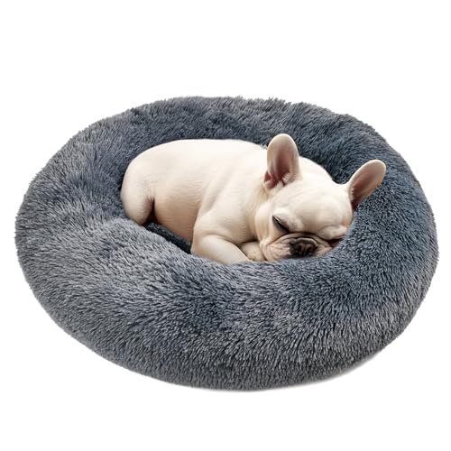 Hoewina Hunde- und Katzenbett, 50,8 cm, Katzenbetten für Indoor-Katzen, beruhigendes Donut-Bett für Welpen und Kätzchen, waschbares, rundes flauschiges Haustierbett für kleine, mittelgroße Hunde und Hoewina Hunde- und Katzenbett, 50,8 cm, Katzenbetten für Indoor-Katzen, beruhigendes Donut-Bett für Welpen und Kätzchen, waschbares, rundes flauschiges Haustierbett für kleine, mittelgroße Hunde und von Hoewina