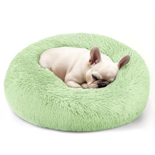 Hoewina Hunde- und Katzenbett, 50,8 cm, Katzenbetten für Indoor-Katzen, beruhigendes Donut-Bett für Welpen und Kätzchen, waschbares, rundes flauschiges Haustierbett für kleine, mittelgroße Hunde und Hoewina Hunde- und Katzenbett, 50,8 cm, Katzenbetten für Indoor-Katzen, beruhigendes Donut-Bett für Welpen und Kätzchen, waschbares, rundes flauschiges Haustierbett für kleine, mittelgroße Hunde und von Hoewina
