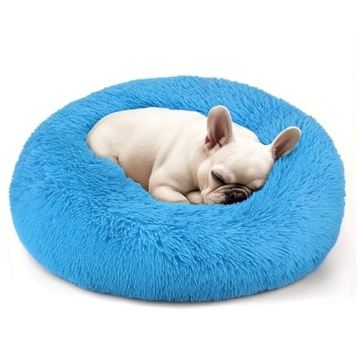 Hoewina Hunde- und Katzenbett, 50,8 cm, Katzenbetten für Indoor-Katzen, beruhigendes Donut-Bett für Welpen und Kätzchen, waschbares, rundes flauschiges Haustierbett für kleine, mittelgroße Hunde und Hoewina Hunde- und Katzenbett, 50,8 cm, Katzenbetten für Indoor-Katzen, beruhigendes Donut-Bett für Welpen und Kätzchen, waschbares, rundes flauschiges Haustierbett für kleine, mittelgroße Hunde und von Hoewina