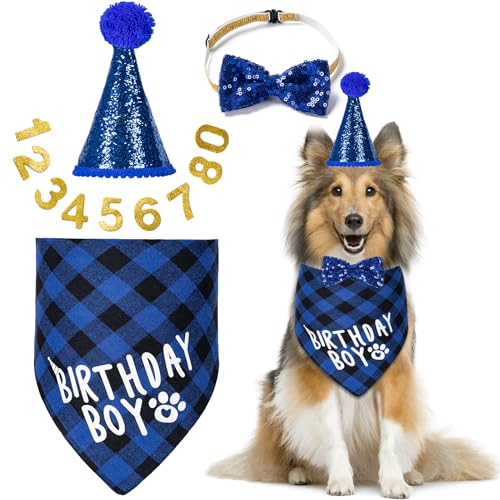 Hunde-Geburtstagsparty-Zubehör, Hunde-Geburtstagsdekoration mit Geburtstags-Hundehalstuch/Hunde-Katzen-Geburtstagshut/Hunde-Fliege/Halsband mit 0–8 Zahlen, für große und mittelgroße Hunde (XL, Blau) von Hoewina