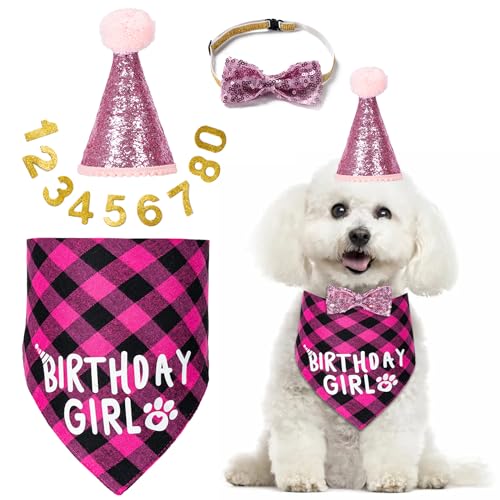Hunde-Geburtstagsparty-Zubehör, Hunde-Geburtstagsdekoration mit Geburtstagsmädchen, Hundehalstuch/Hunde-Katzen-Geburtstags-Hut/Hunde-Fliege/Halsband mit 0–8 Zahlen, für mittelgroße und kleine Hunde von Hoewina