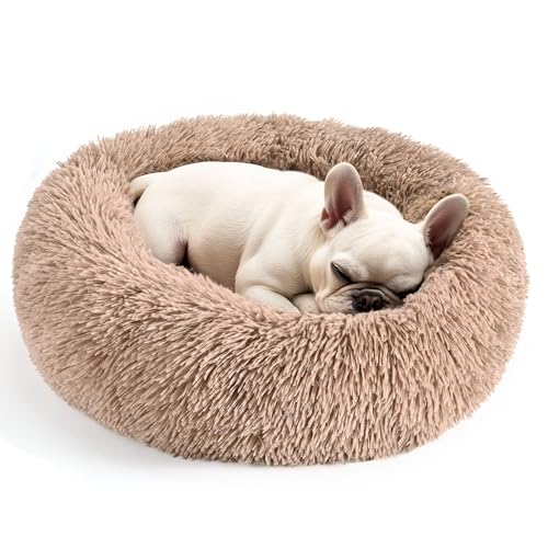 Hundebetten für große Hunde und Katzen, 81,3 cm, waschbar, unzerstörbar, Größe XL, Kamelfarben Hundebetten für große Hunde und Katzen, 81,3 cm, waschbar, unzerstörbar, Größe XL, Kamelfarben von Hoewina