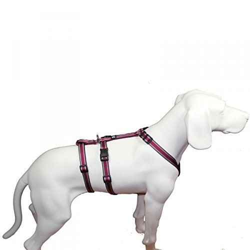 Hoffmann Das Original - NoExit Hundegeschirr ® - 100% ausbruchsicher für Angsthunde, Panikgeschirr, Pflaume Muster, Bauchumfang 60-80 cm, 25 mm Bandbreite von Hoffmann
