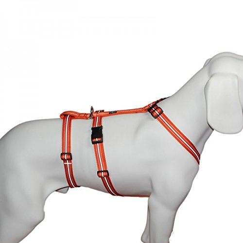 Hoffmann Das Original - NoExit Hundegeschirr ® - 100% ausbruchsicher für Angsthunde, Sicherheitsgeschirr für Pflegehunde, Panikgeschirr, Reflexband orange, Bauchumfang 40-60 cm, 15 mm Bandbreite von Hoffmann