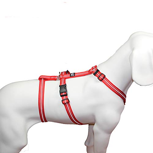 Hoffmann Das Original - NoExit Hundegeschirr ® - 100% ausbruchsicher für Angsthunde, Sicherheitsgeschirr für Pflegehunde, Panikgeschirr, Reflexband rot, Bauchumfang 55-75 cm, 20 mm Bandbreite von Hoffmann