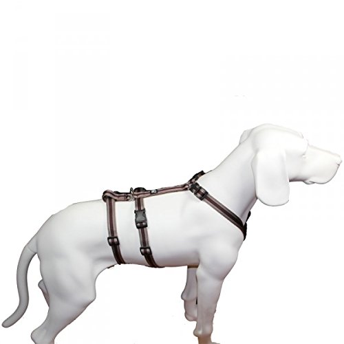 Hoffmann No Exit ausbruchsicheres Hundegeschirr für Angsthund, Sicherheitsgeschirr für Pflegehund, Panikgeschirr, braun Muster, Bauchumfang 60-80 cm, 25 mm Bandbreite von Hoffmann