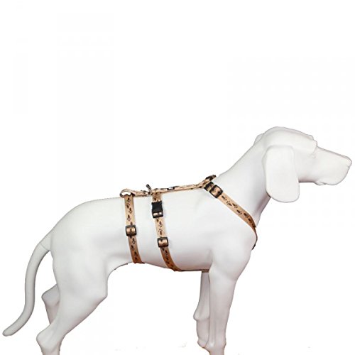 Hoffmann No Exit ausbruchsicheres Hundegeschirr für Angsthund, Sicherheitsgeschirr für Pflegehunde, Panikgeschirr, beige mit braunen Pfötchen, Bauchumfang 50-65 cm, 20 mm Bandbreite von Hoffmann