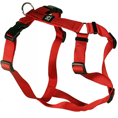Hundegeschirr - Nylonband, Unifarben Rot, Bauchumfang 60-80 cm, 25 mm Bandbreite von Hoffmann