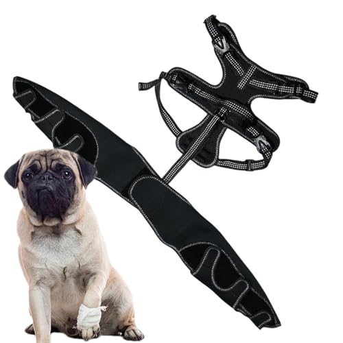 Hogvinnatil Hundebechklammer, Hunde Hüftklammer | Pet Hock Hip Support - Einstellbare Beinstütze für die Warm und Stabiler Tierfugen Hogvinnatil Hundebechklammer, Hunde Hüftklammer | Pet Hock Hip Support - Einstellbare Beinstütze für die Warm und Stabiler Tierfugen von Hogvinnatil