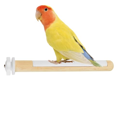 Hogvinnatil Vogelstangen für Käfig, Vogelperchstange | Cage Accessoires Vogelpfoten Schleifstock - Multifunktionales stabiles natürliches Schleifgabel bestehend Spielzeug für Cockatiels Lovebirds Hogvinnatil Vogelstangen für Käfig, Vogelperchstange | Cage Accessoires Vogelpfoten Schleifstock - Multifunktionales stabiles natürliches Schleifgabel bestehend Spielzeug für Cockatiels Lovebirds von Hogvinnatil