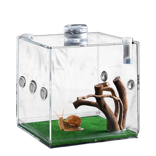 Springspinnengehege Springspinnenwohnraum Spinnen-Terrarium Vogelspinnen-Gehege Spinnenkäfig Acryl Käferterrarium Insektenterrarium von Hogvinnatil