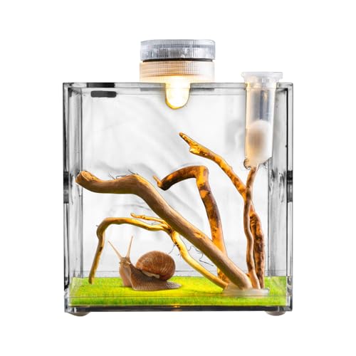 Springspinnengehege Springspinnenwohnraum Spinnen-Terrarium Vogelspinnen-Gehege Spinnenkäfig Acryl Käferterrarium Insektenterrarium von Hogvinnatil