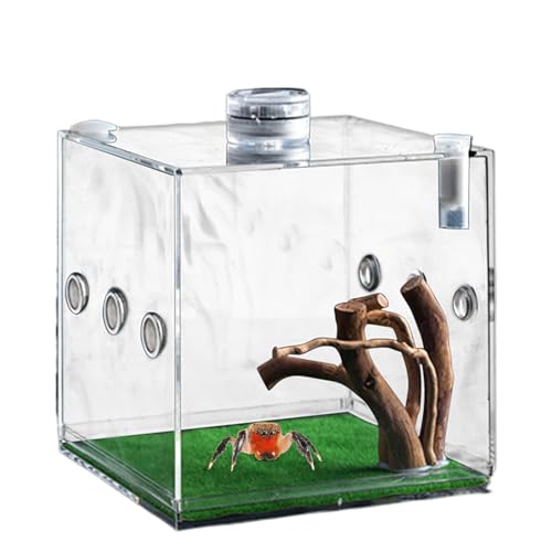 Springspinnengehege Springspinnenwohnraum Spinnen-Terrarium Vogelspinnen-Gehege Spinnenkäfig Acryl Käferterrarium Insektenterrarium von Hogvinnatil