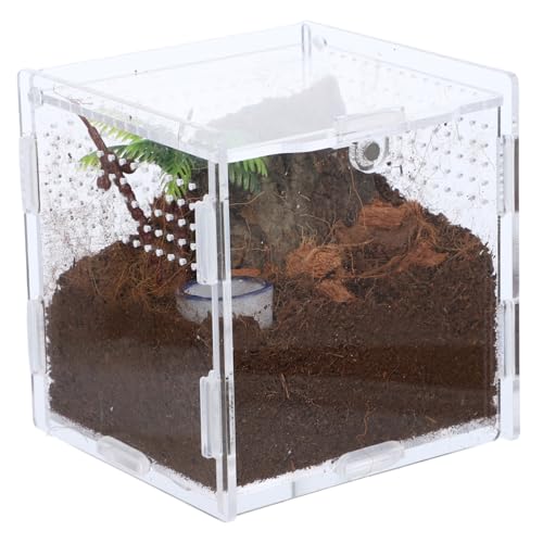 Hohopeti tragbare Acryl Spinne Zucht Box Springende Spinne Fütterung Terrarium Insekten Lebensraum Fall Hohopeti tragbare Acryl Spinne Zucht Box Springende Spinne Fütterung Terrarium Insekten Lebensraum Fall von Hohopeti