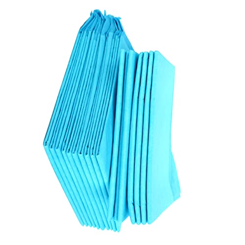 Hohopeti Trainingspad Für Haustiere 10 Stück Einweg-hundepads Sofort Saugfähige PIPI-Pads Mittelgroß 45 X 60 Mm Verschiedene Weißtöne Ideal Für Hunde von Hohopeti