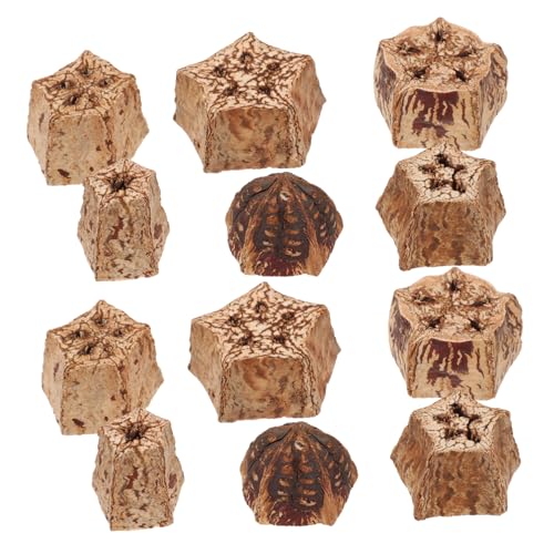 Hohopeti Futtersuche Papagei Spielzeug Vogel Schreddern Spielzeug Papagei Spielzeug für Sittich Vogel Kauen Spielzeug Hohopeti Futtersuche Papagei Spielzeug Vogel Schreddern Spielzeug Papagei Spielzeug für Sittich Vogel Kauen Spielzeug von Hohopeti