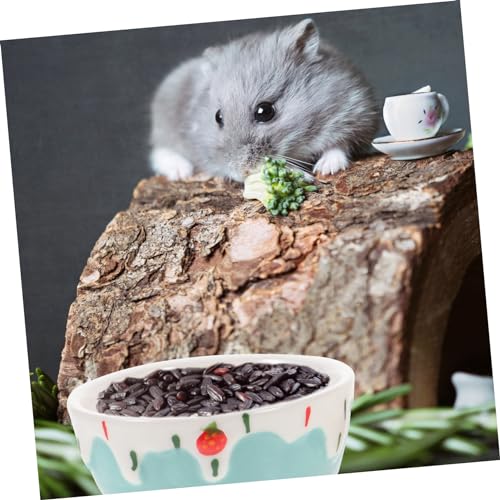 Hohopeti 2 Stück Keramik Futternapf für Kleintiere Tiefe Schale mit Rutschfestem Boden Geeignet für Hamster Meerschweinchen Kaninchen Chinchilla Leicht zu Reinigen Farbig Blau von Hohopeti