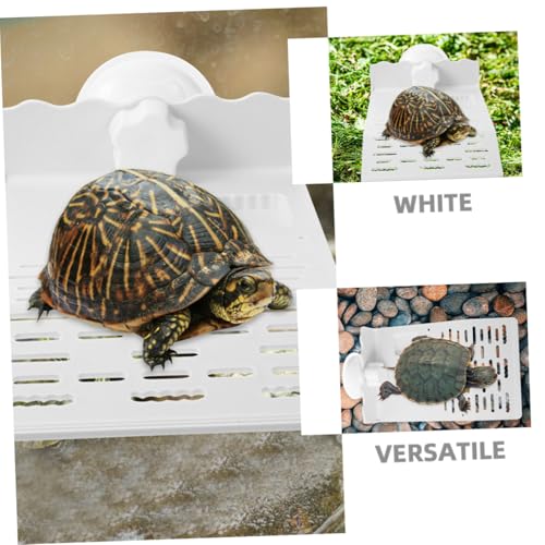 Hohopeti 2 Stück Schwimmende mit Saugnäpfen für Reptilien für Schildkröten Frösche und Krebse Verstellbare Kletterrampe von Hohopeti