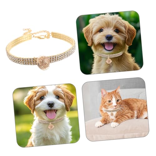 Hohopeti 2 Stück Verstellbares Katzen und Hundehalsband mit Strasssteinen und Glocke Elastische Schmuck Halskette für Welpen und Kätzchen Teiliges Modisches Haustier Accessoire Komfortabel von Hohopeti