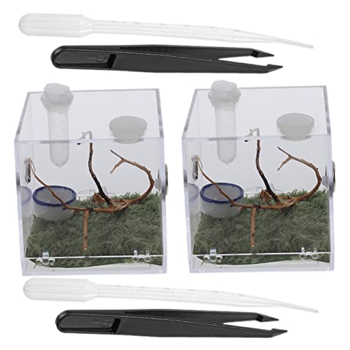 Hohopeti 2Sätze Springspinne Habitatbox aus Transparente Insektenzuchtbox mit Zubehör für Springspinnen und Langlebig für Aufzucht von Kleinen Insekten Hohopeti 2Sätze Springspinne Habitatbox aus Transparente Insektenzuchtbox mit Zubehör für Springspinnen und Langlebig für Aufzucht von Kleinen Insekten von Hohopeti