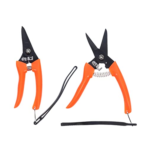Hohopeti 2Stücke Ziegenhufschneider Teilig aus Professioneller Huftrimmer für Schafe und Rinder Ergonomisches Design Tragbar und Langlebig für Gartenarbeiten und Tierpflege Hohopeti 2Stücke Ziegenhufschneider Teilig aus Professioneller Huftrimmer für Schafe und Rinder Ergonomisches Design Tragbar und Langlebig für Gartenarbeiten und Tierpflege von Hohopeti