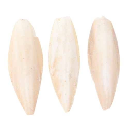 Hohopeti 3stücke Cuttlebone Spielzeug Für Papageien Calciumreiche Kaustreifen Zum Training Und Zähnemaßnahmen Für Vögel Und Kleine Haustiere Für Käfige Und Balkone Beige Hohopeti 3stücke Cuttlebone Spielzeug Für Papageien Calciumreiche Kaustreifen Zum Training Und Zähnemaßnahmen Für Vögel Und Kleine Haustiere Für Käfige Und Balkone Beige von Hohopeti