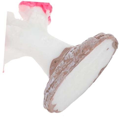 Hohopeti 3 Stück Teiliges Aquarium Deko Resin Korallenriff Ornament Realistische Korallen Figurine Sicher für Fische und Wasserqualität für Fischbecken und Aquarien Dekoration von Hohopeti