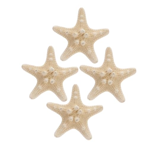 Hohopeti 4 Stück Natürliche Seesterne Deko Meeresmotiv Strandthema DIY Basteln Wohnzimmer Schlafzimmer Dekoration Geschenkidee aus Echten Muscheln von Hohopeti