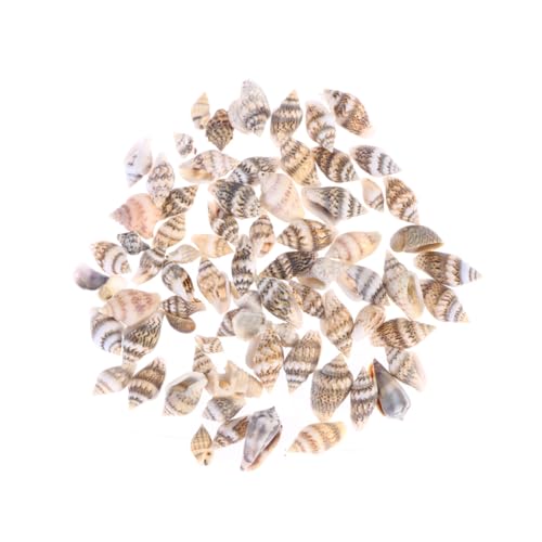 Hohopeti 500 Stück Teiliges Natürliche Muscheln und Kleine Meeresschnecken für Wohnraum Aquariumdekoration Vielseitig für DIY Bastelprojekte Farbenfrohe Strand deko für Kreative Gestaltung von Hohopeti