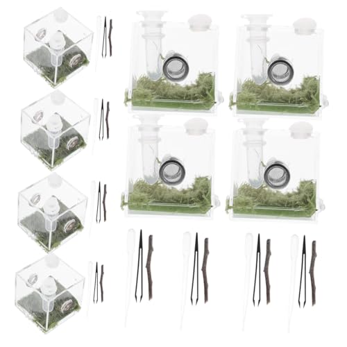 Hohopeti 6 Sets Mini Tarantula Gehäuse Set up Acryl Springende Spinne Hause Schnecke Terrarium Lebensraum Käfig von Hohopeti
