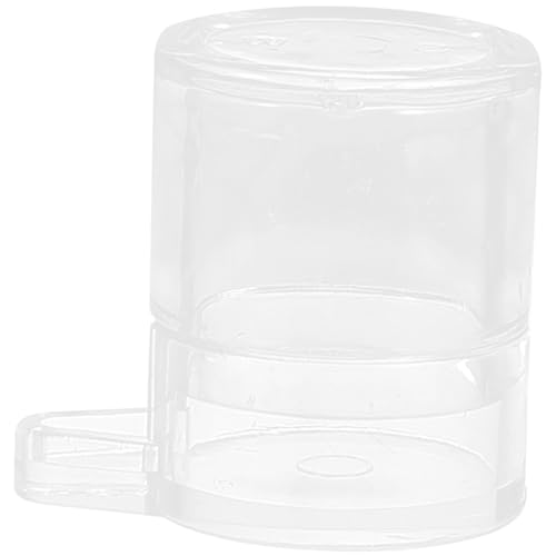 Hohopeti Acryl Ameisen Wasser Futterspender Robust Transparent Formicarium Zubehör für Installieren Langlebig Kleiner Behälter für Ameisenhaltung Hohopeti Acryl Ameisen Wasser Futterspender Robust Transparent Formicarium Zubehör für Installieren Langlebig Kleiner Behälter für Ameisenhaltung von Hohopeti