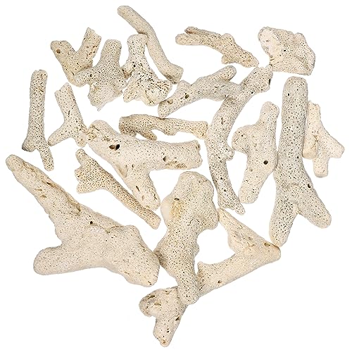 Hohopeti Schotter Für Aquarien Für Süßwasseraquarien 3–10 cm 500 G Natürlicher Steinbruch Als Dekoration Für Aquarien Hohopeti Schotter Für Aquarien Für Süßwasseraquarien 3–10 cm 500 G Natürlicher Steinbruch Als Dekoration Für Aquarien von Hohopeti